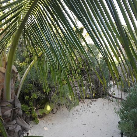 Eco Lodge Hotel Villa Tulum Zewnętrze zdjęcie