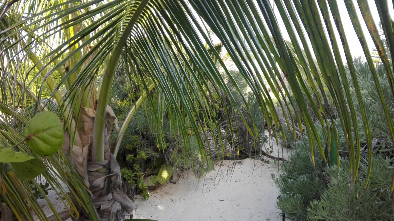 Eco Lodge Hotel Villa Tulum Zewnętrze zdjęcie