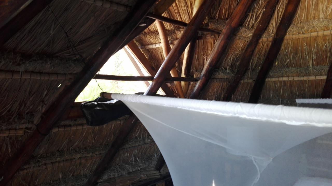 Eco Lodge Hotel Villa Tulum Zewnętrze zdjęcie
